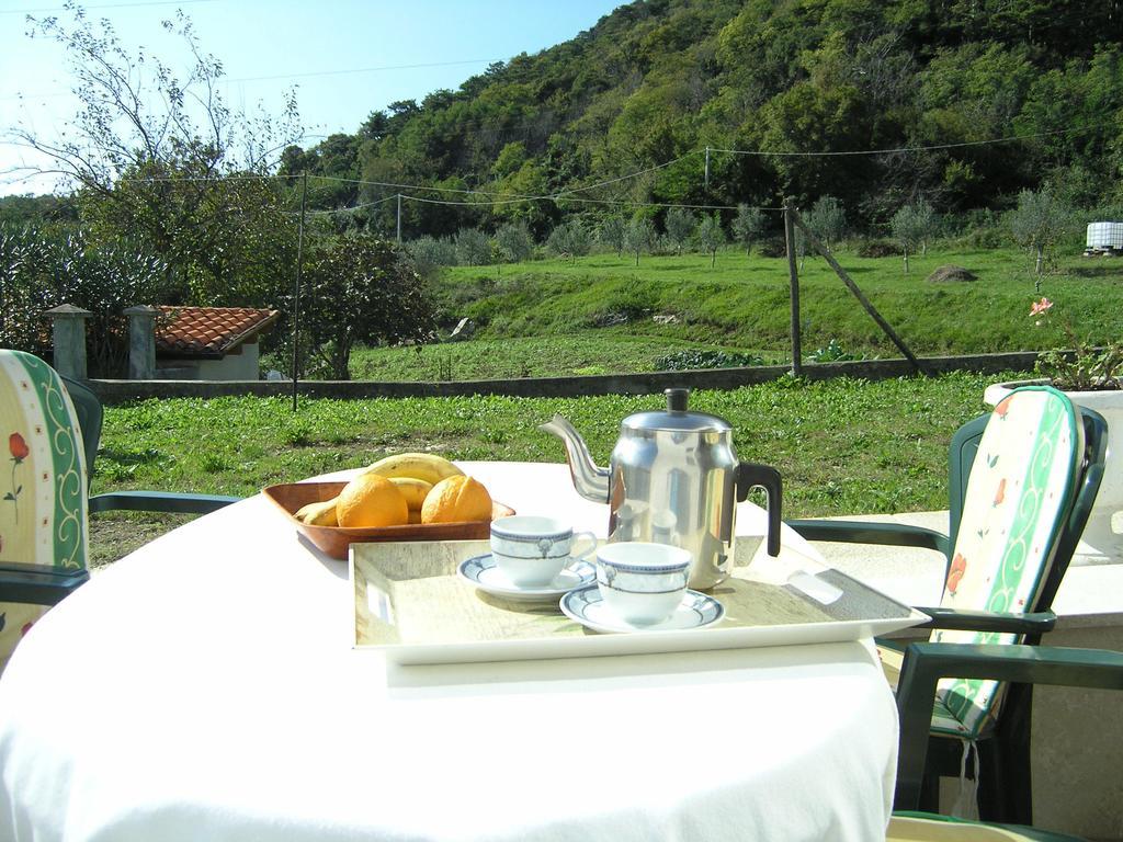 Apartments Rajkovic Labin Szoba fotó